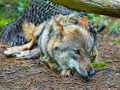 DSC0033_DxO-Kopie_DxO-K