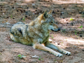 DSC0043_DxO-K