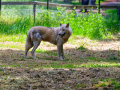 DSC0061_DxO-K