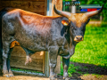 DSC9981_DxO-K