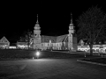 K_6295