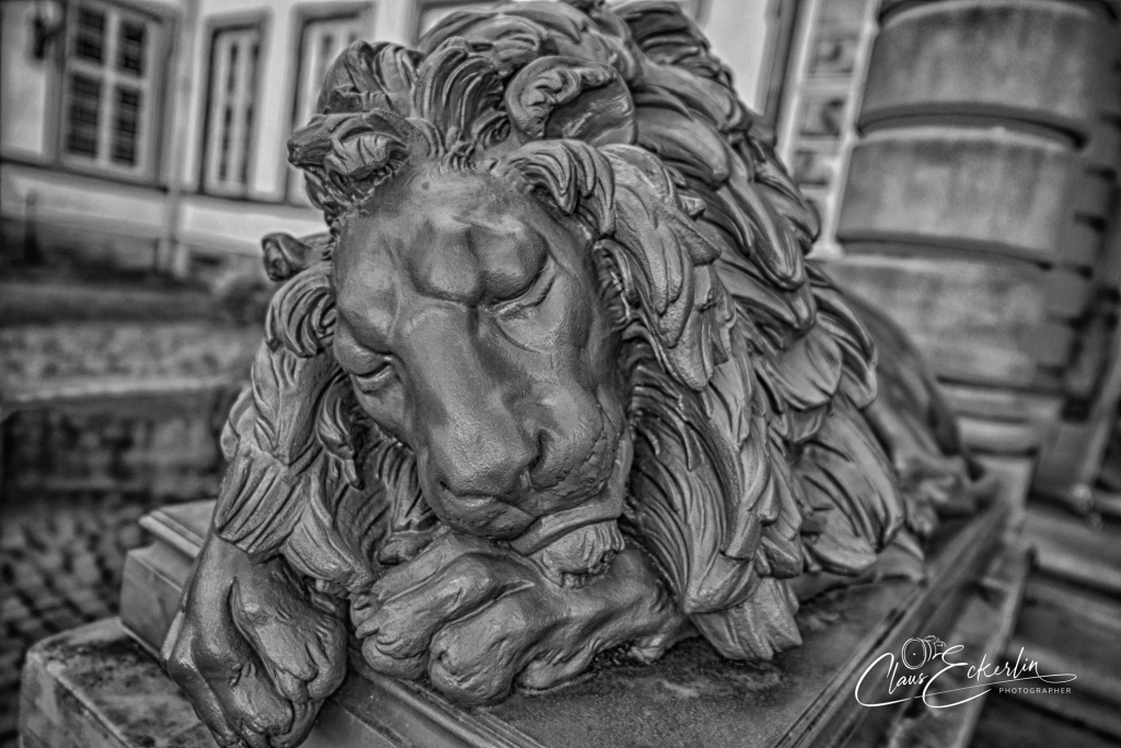 20261003-Z63_7609_HDR-Kopie