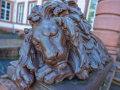 20261003-Z63_7609-Kopie