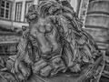 20261003-Z63_7609_HDR-Kopie