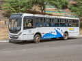 EZ65869-DxO_DeepPRIME-XD2s-K