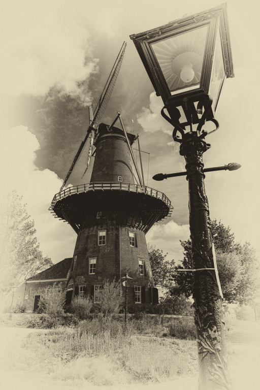 20260920-Z63_7519-Kopie