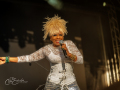 DSC_3767-20260807-DxO_DeepPRIME-XD3-K
