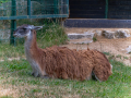 DSC_1769-20260708-DxO_DeepPRIME-XD3-K