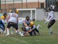 DSC_2733-20260718-DxO_DeepPRIME-XD3-K