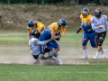 DSC_2901-20260718-DxO_DeepPRIME-XD3-K