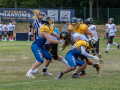 DSC_2972-20260718-DxO_DeepPRIME-XD3-K