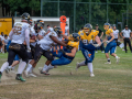DSC_3080-20260718-DxO_DeepPRIME-XD3-K