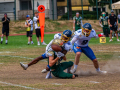 DSC_4509-20260815-DxO_DeepPRIME-XD3-K