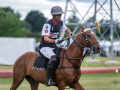 EZ8_3130-DxO_DeepPRIME-3-Kopie