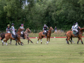 EZ8_3174-DxO_DeepPRIME-3-Kopie