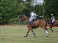 EZ8_3187-DxO_DeepPRIME-3-Kopie