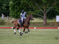 EZ8_3266-DxO_DeepPRIME-3-Kopie