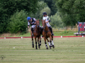 EZ8_3359-DxO_DeepPRIME-3-Kopie