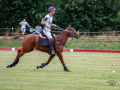 EZ8_3387-DxO_DeepPRIME-3-Kopie