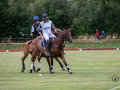 EZ8_3402-DxO_DeepPRIME-3-Kopie