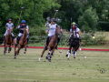 EZ8_3409-DxO_DeepPRIME-3-Kopie