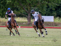 EZ8_3417-DxO_DeepPRIME-3-Kopie