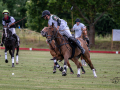 EZ8_3419-DxO_DeepPRIME-3-Kopie