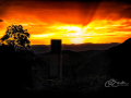 DSC_2860-DxO_DeepPRIME-XD3K