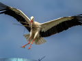 EZ88917-DxO_DeepPRIME-XD3-K