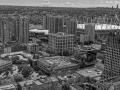 P1004955