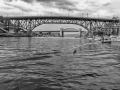 P1005070