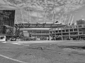 P1005164