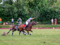 DSC_1509-DxO_DeepPRIME-XD3-K