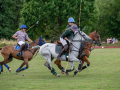 DSC_1553-DxO_DeepPRIME-XD3-K