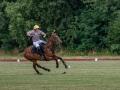 DSC_1629-DxO_DeepPRIME-XD3-K