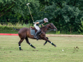 DSC_1668-DxO_DeepPRIME-XD3-K