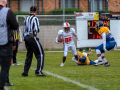 DSC_1723-DxO_DeepPRIME-XD3-K
